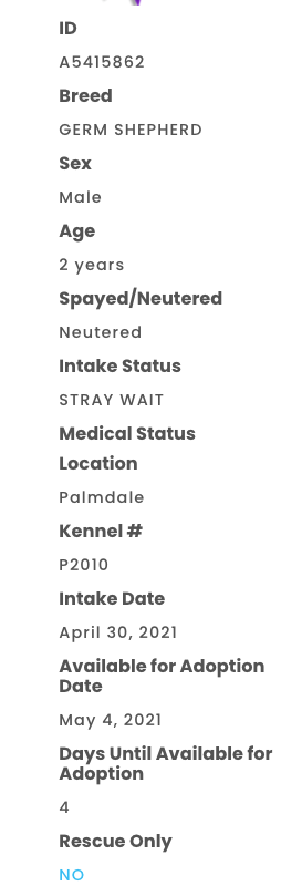 A Genuine Find! Just out of babyhood. Very vulnerable time right now. They do not do well in shelters. animalcare.lacounty.gov/view-our-anima…