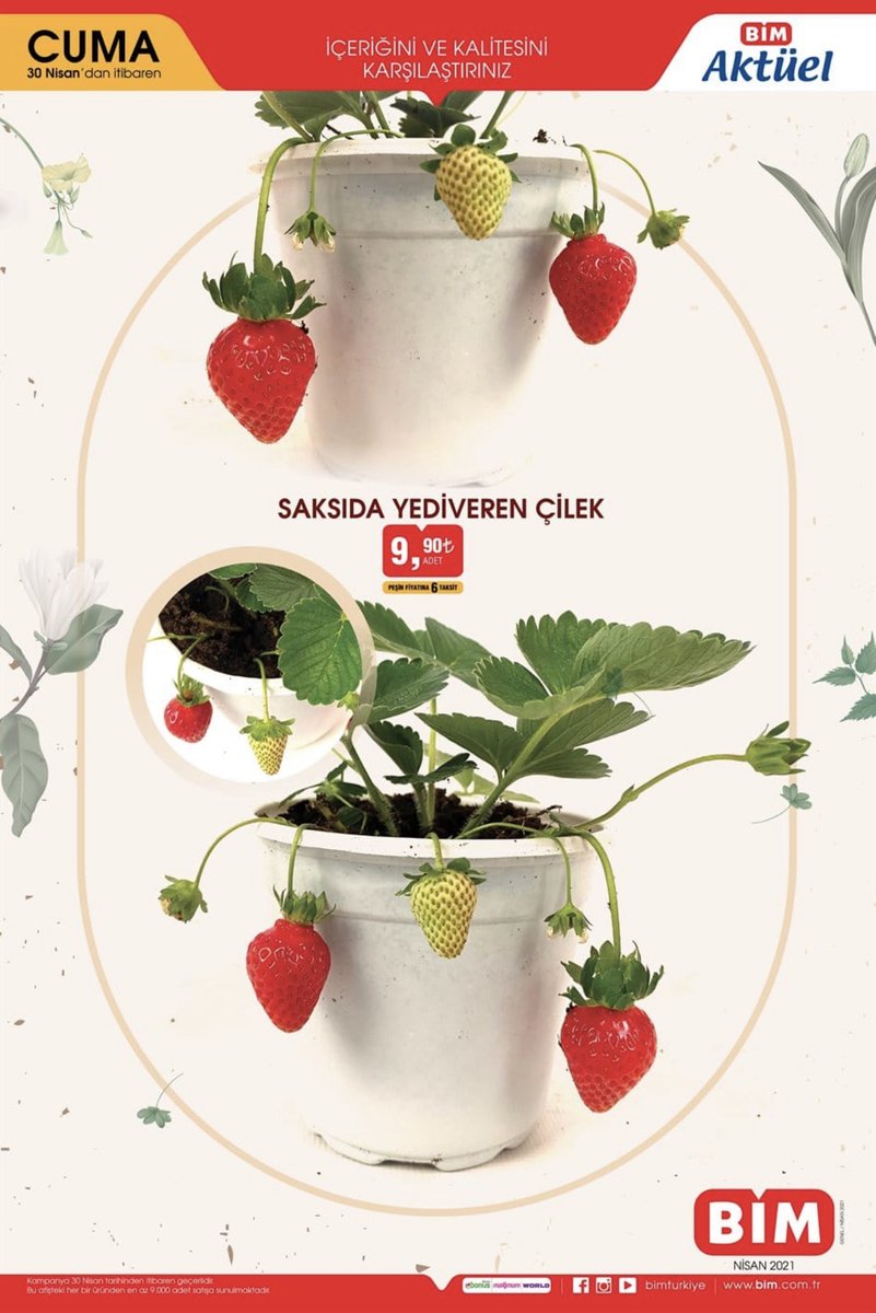 Bim Saksıda Yedi Veren Çilek Bim Saksıda Yedi Veren Çilek 9,99 TL 
onelink.to/indirimbull
İlan detayları linkte 👍 
İndirim Kategorisi: #Bim #Ev_Yaşam_Dekorasyon #Gıda
#Bim #çilek #saksı #yediveren #indirim #alışveriş #indirimbul #kampanya #ucuz
