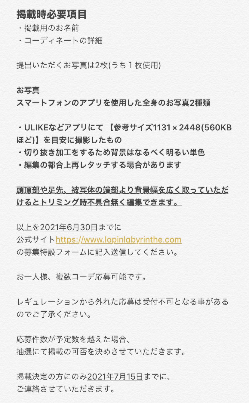Lapin Labyrinthe 公式 購入者優先応募開始 Vol 1をご購入の皆様を対象にvol 2コーデ写真応募を開始します 1 サイト募集ページを開く 2 Vol 1掲載パスワードを入力 最後2桁 Th は入力不要 3 項目を入力する 4 送信ボタンを押して応募完了