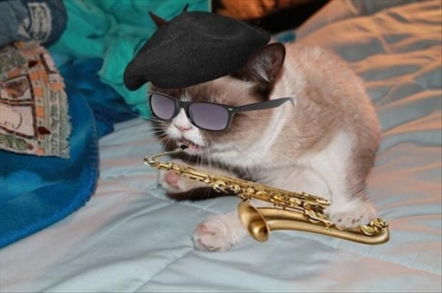 RT @jemcqstairs: anyways i hope u had a good jazz international day tina here's a jazz cat just for u <3 https://t.co/JjsZoRL8sO