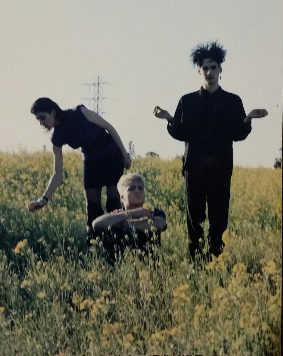 Three textbook examples from the 1988-90 glory days of indie bands standing about in oilseed rape: Salisbury's The Mayfields (1988), San Francisco Bay's Crimson Ivy (circa 1988) & Sweden's The Sinners (1990)  - ta  @crikeyblimey7  @parramaterial  @jorgenmahler