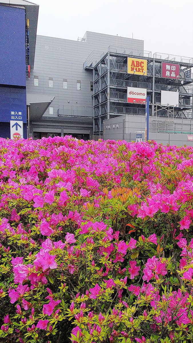 Taiseikan エアポートウォーク名古屋店 V Twitter おはようございます あっという間にオープン3日目になりました オープンから雨でした 明日も雨かな 5月5日までボディケアコースが Offです 心よりお待ちしております エアポートウォーク アピタ名古屋