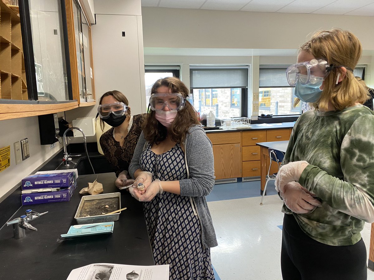 ARobScience's tweet image. Sheep eye 👁 dissection in Anatomy.