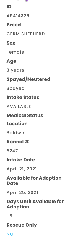 animalcare.lacounty.gov/view-our-anima…
Purebred Shepherds can have blue eyes.Use email.  baldwinpark@animalcare.lacounty.gov
