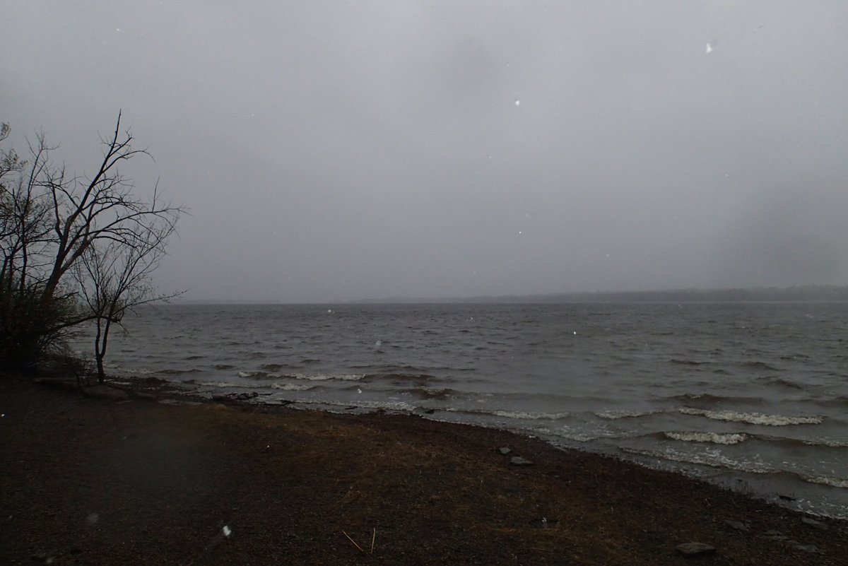 MortenLidegaard's tweet image. Lovely 'breezy' rainy weather with a touch of hail and dash of sleet for a nice 20k run along the Ottawa River 😋Had it almost all to myself - Hope you've had a great day!😊
#IStartHere @OttawaMarathon @runottawa 
#TeamNuun @nuunhydration 
#mmrun 61,62/100 @MegaMeterRun
#MyOttawa