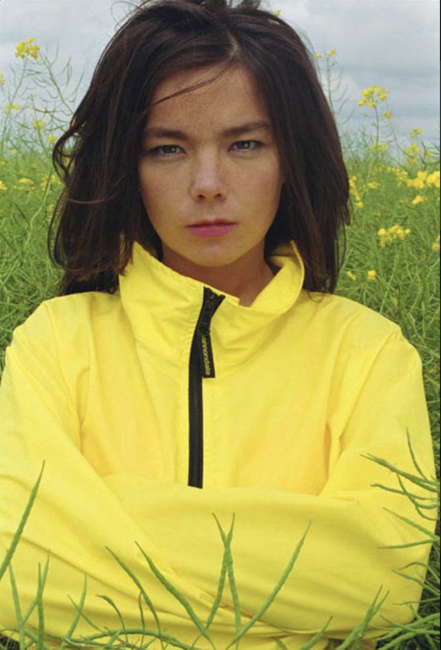 Bjork silently judging all other musicians' inferior standard of standing about in oilseed rape.