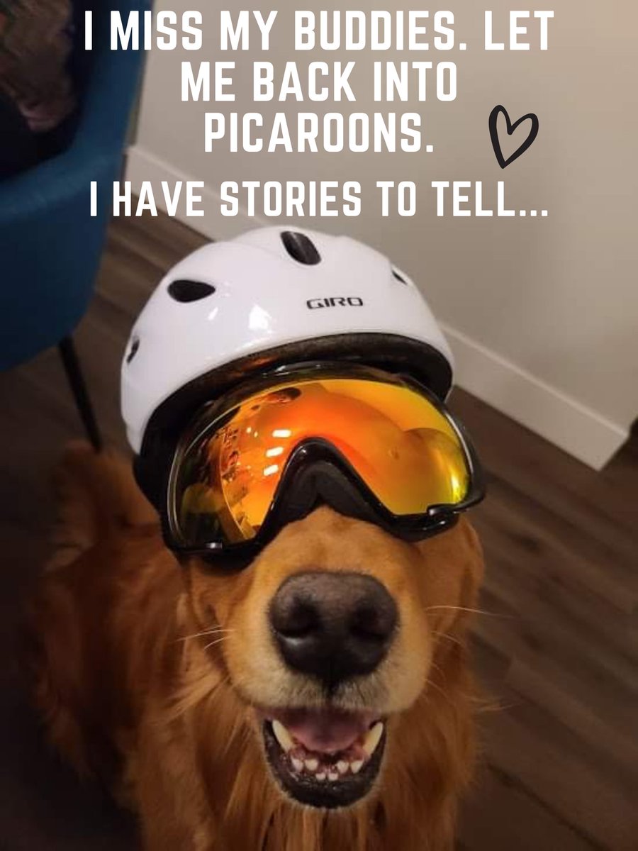 dondarlingSJ's tweet photo. I hope we can find a solution, @picaroons doesn't have a kitchen. #letusback https://t.co/WBXjSWN4Mb