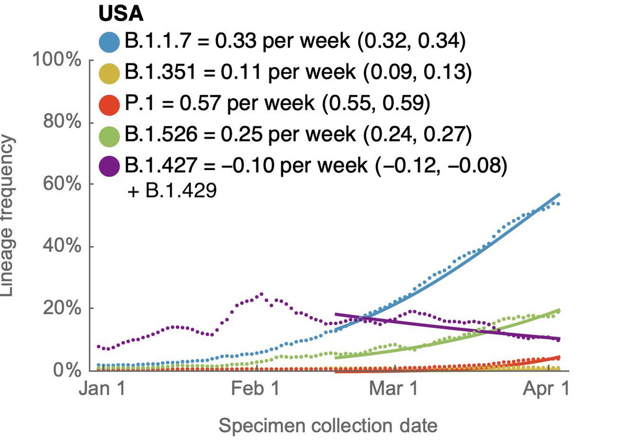 What is the fastest growing variant in the US currently? Not  #B117 anymore (now #2)—it’s actually the  #P1 variant from Brazil .So  @NYCHealthCommr Dr  @davechokshi is indeed correct when he rightfully pointed out  #P1 is “growing” in New York City.  #COVID19(Figure from  @trvrb)