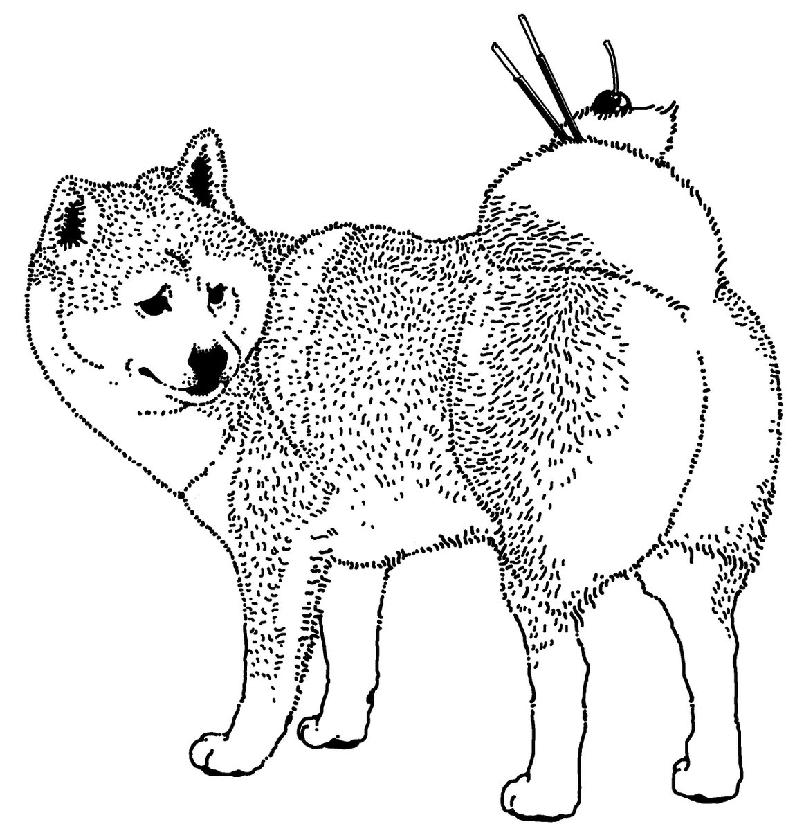 Twoucan のそ子 羊毛フェルト動物本発売中 Nosonoso Twoucan のそ子 羊毛フェルト動物本発売中 Nosonoso