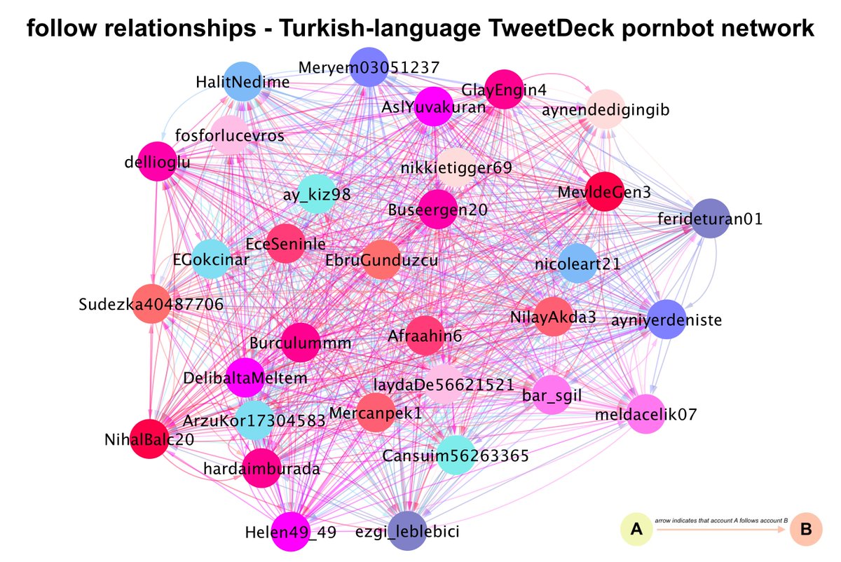 Every account in this botnet follows or is followed by every other account in the botnet. (Some follows are mutual, some are not.) The bots follow very few accounts outside the network, mostly large Turkish accounts and porn accounts.