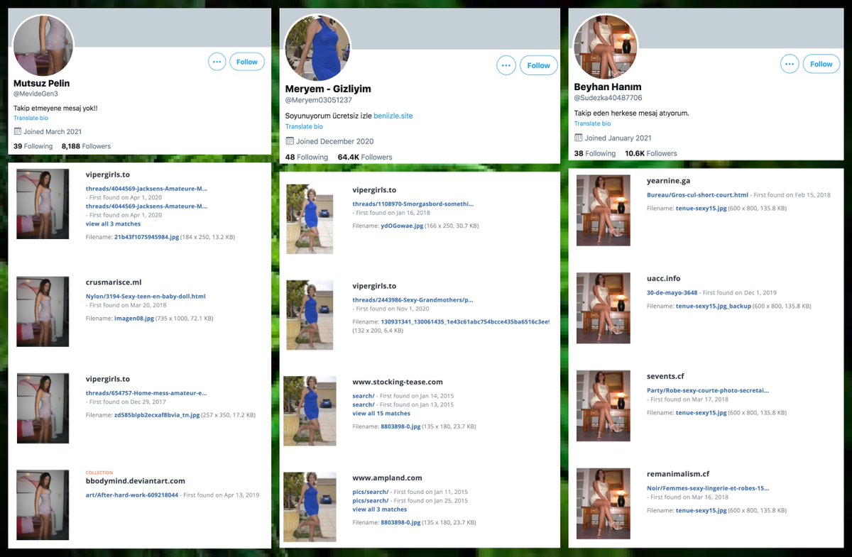 As is popular with pornbot networks, these accounts use stolen profile pics. TinEye proved to be more effective than Google or Yandex at finding other uses of these images on the internet. Most are cropped versions of larger photographs.