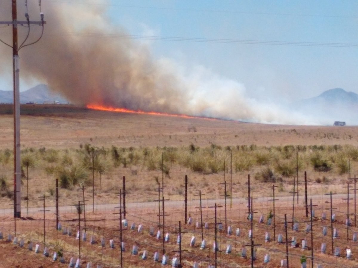 jw3778's tweet photo. Fireside wine tasting near Elgin, AZ this afternoon. Unexpected wildfire near Hanah Hills Winery...accidental human caused per Sonoita-Elgin Fire District. FD quickly stopped the fire before it reached the winery. Cheers to our local FD! https://t.co/YRSxsfUMaS