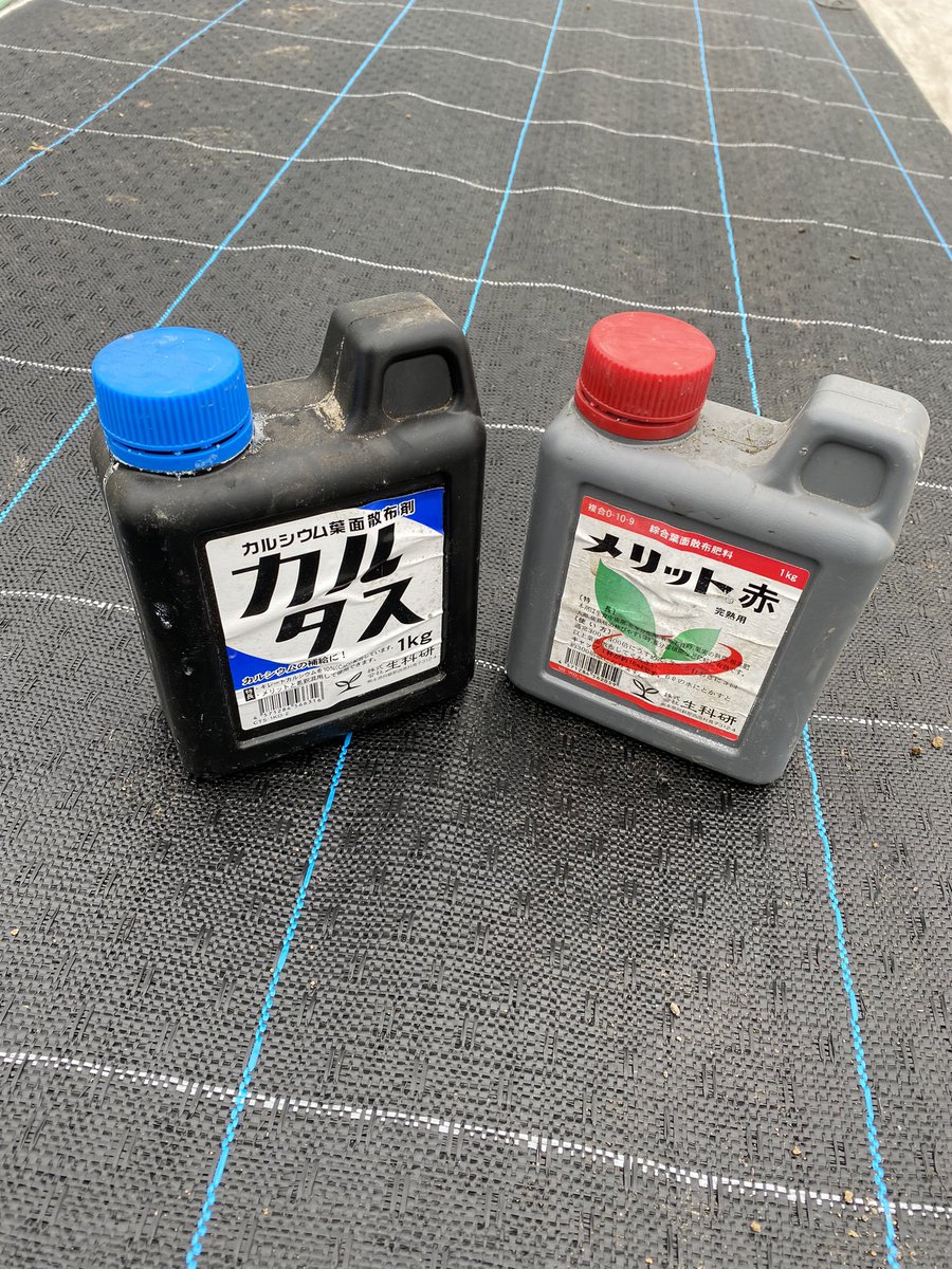 まるかじり農園 今日の一本 メリット赤 Amp カルタス Pk主体のメリットとcaのカルタス最高かよ 育苗から生育後半までの強い味方 本当にお世話になってます ありがとう生科研 ボトル汚くてごめんなさい マジで使ってるんで 葉面散布 生