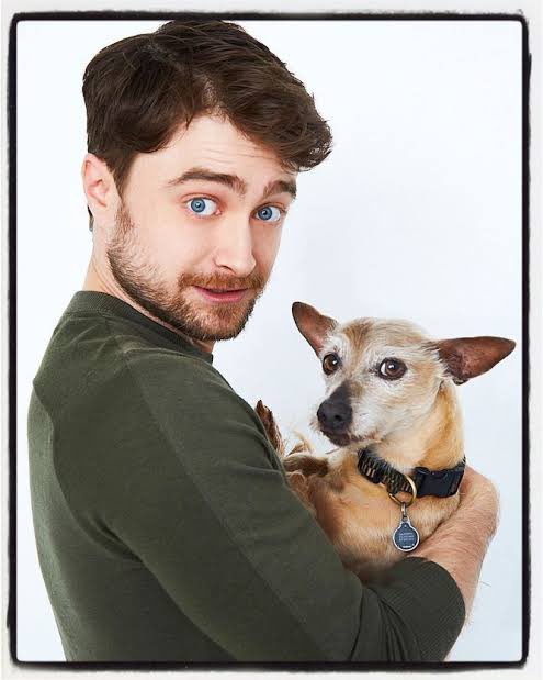 Dan Radcliffe Japan Danrad Webjapan Page 2 Twilog Dan Radcliffe Japan Danrad Webjapan Page 2 Twilog
