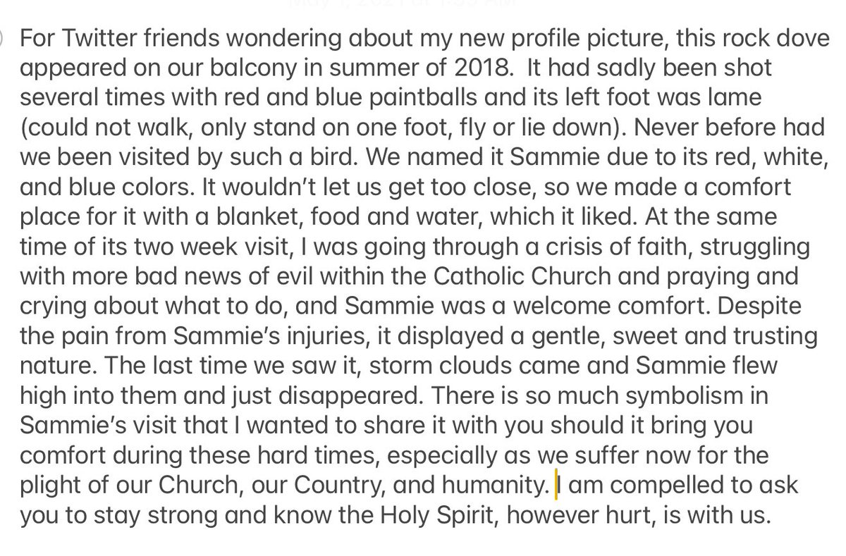 Muse B. Strong ☧ 🇺🇸 ☩ tweet media