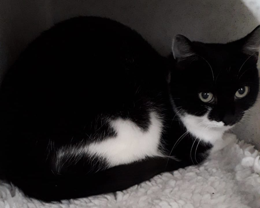 Jonah Jindabine Twitter Jonah Jindabine Twitter