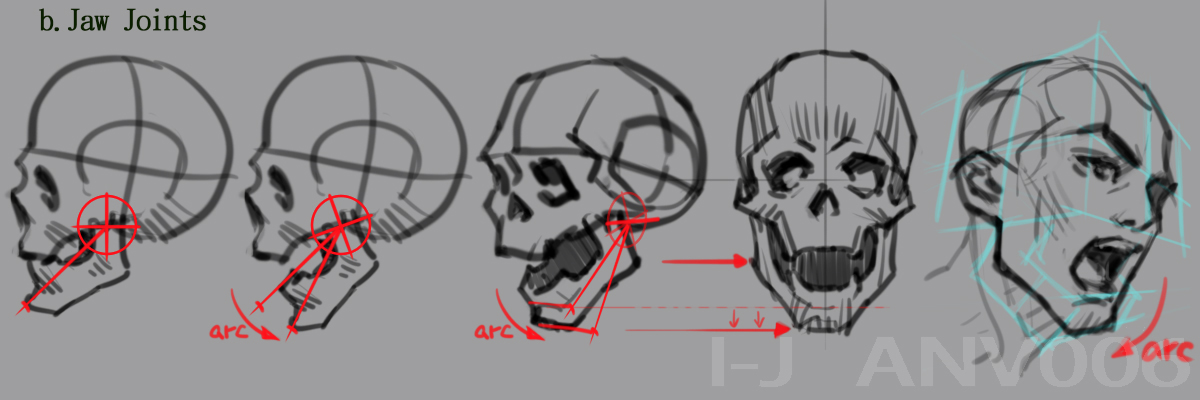 ANV006's tweet photo. general movement of jaw joints.
and this is how I drawing in daily work. 
reference lines are kept in mind, but not drawing actually.

#Anatomy https://t.co/srTkr3wJAr