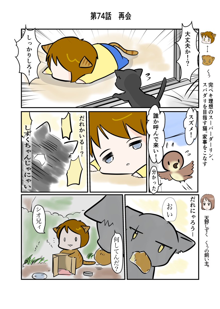 #スパダリにゃんこ
くぅの日常 第74話
再会
スーパーダーリンにゃんこのくぅと飼い主しずくの日常マンガ。
くぅのノラ時代の友猫、シオ兄貴。訪ねて来たちょうどその時、くぅが倒れて…?
#創作マンガ #マンガが読めるハッシュタグ