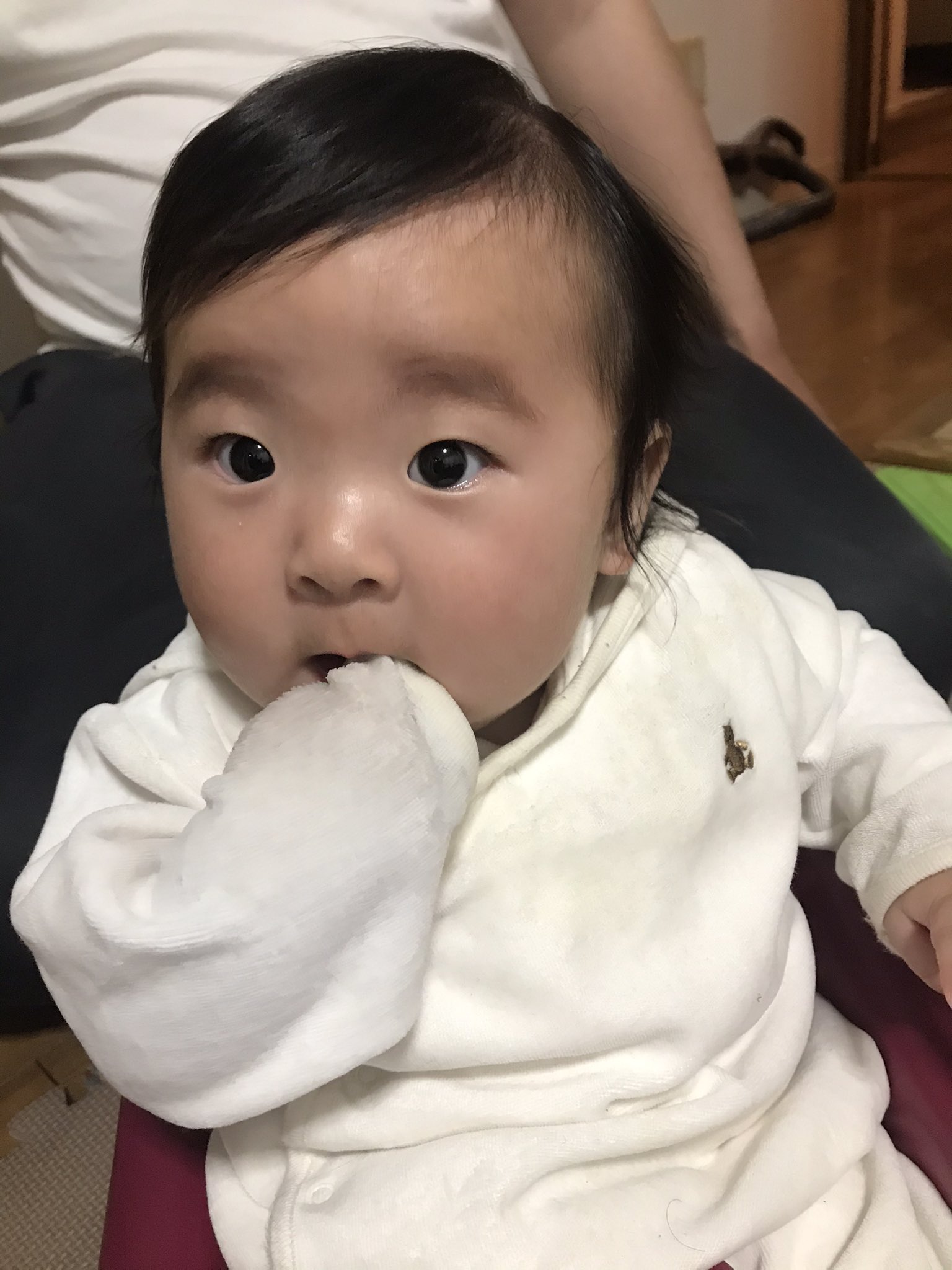 6ヶ月baby Twitter Search Twitter