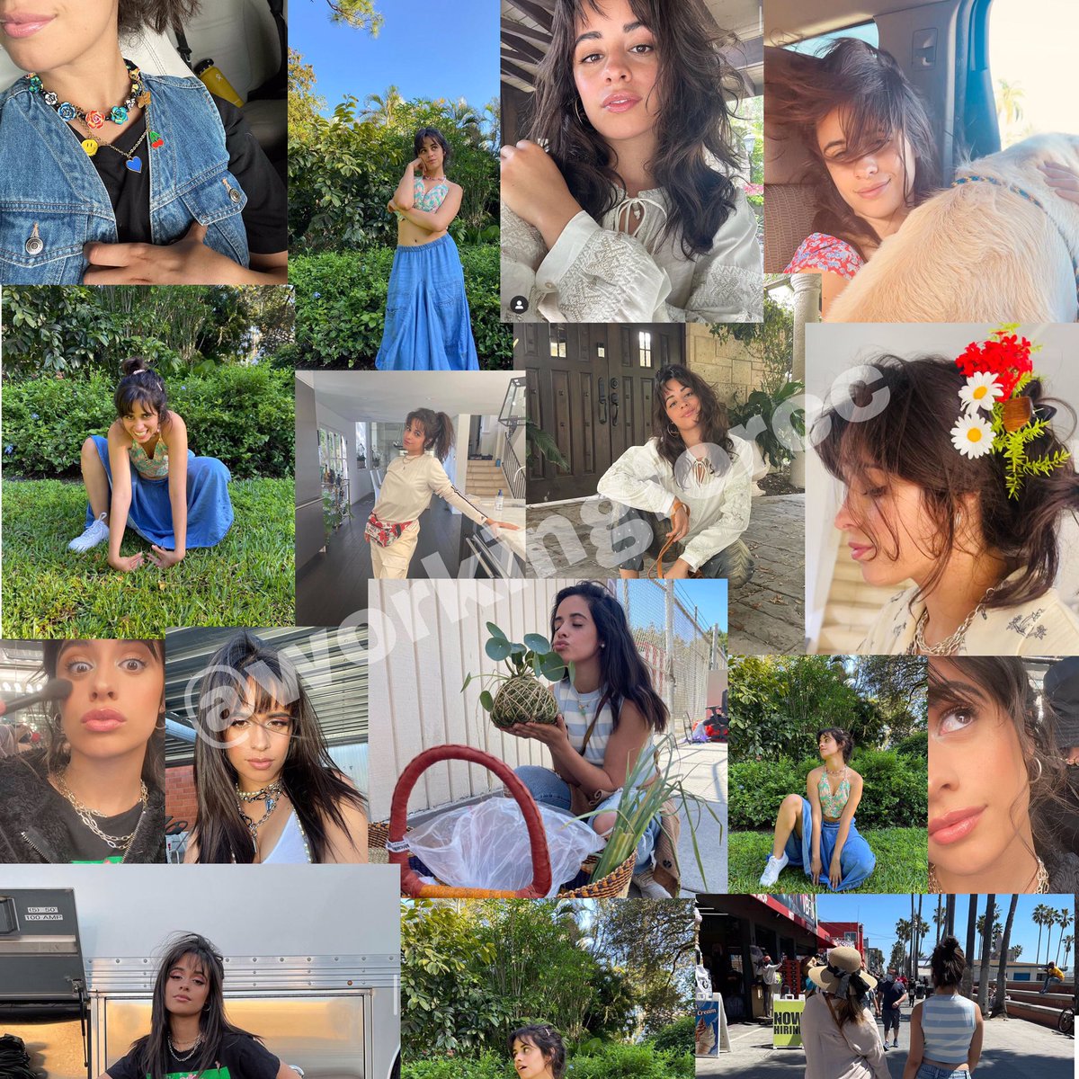 workingforcc's tweet photo. 📊|| Tan solo en el mes de abril Camila nos compartió 75 fotos y obtuvo mas de 32 millones de likes en su cuenta de Instagram. https://t.co/7fGme9juOQ