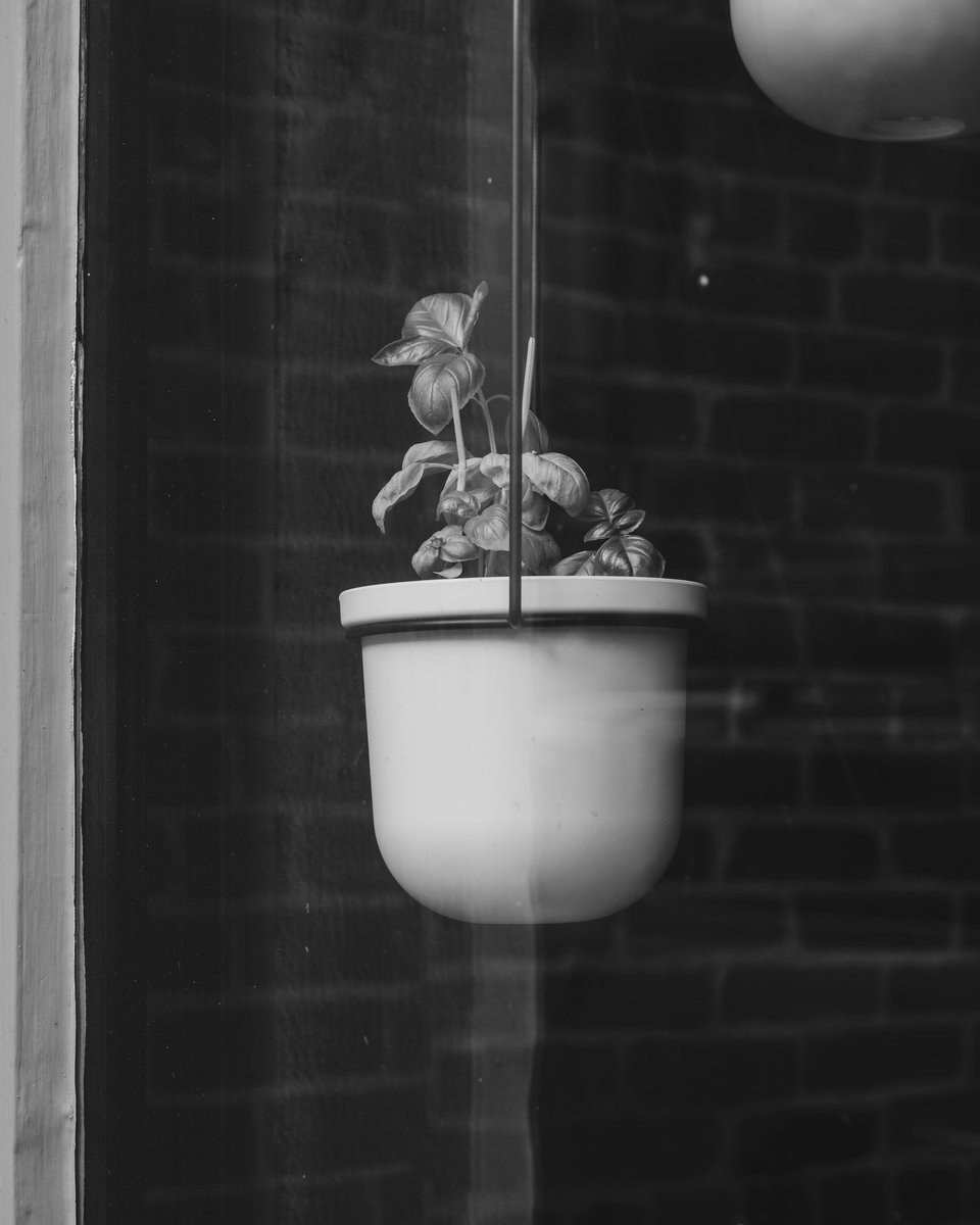 RandyRizzo_'s tweet photo. Do y��all like any of these edits? First pic the original.
#fujifilm #portlanf https://t.co/3fatWVJeOg