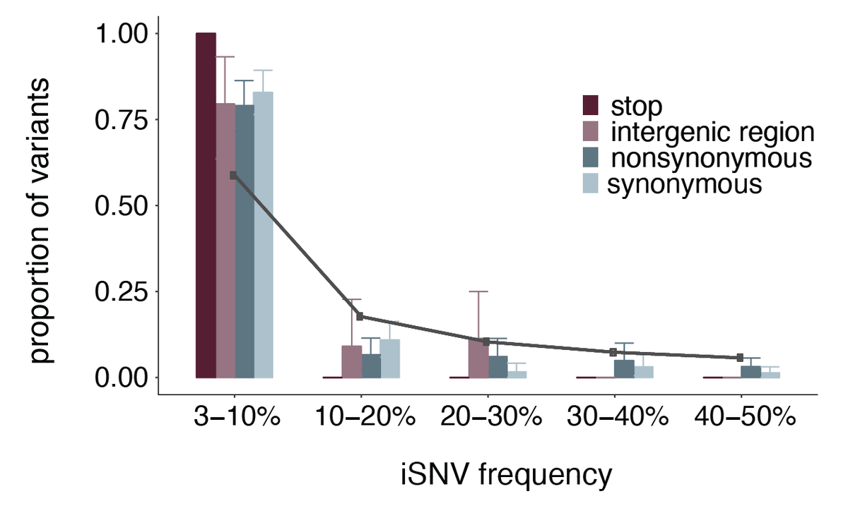 Genetic diversity within hosts was very limited. Most of the infxs we looked at had ≤5 iSNVs, the majority of which were low frequency. Most iSNVs can only be found once and the variation that was shared was homopolymers and Wuhan-1 reversions. 5/12