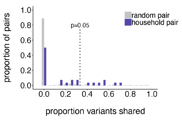 Half of all putative household transmission pairs (14/28) share no iSNVs at all. A quarter of these pairs (7/28, purple) share more iSNVs than expected by chance (chance = random pairs, grey). Not enough shared variation to infer transmission w/o epi data. 6/11