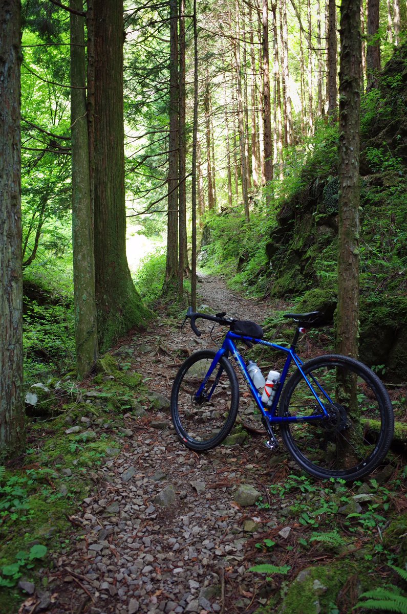 noicycle's tweet photo. 今日はグラベルロードで目的を決めずにポタリング🚴♂️以前から気になっていた白岩の滝。舗装路→グラベル→登山道と最後は担ぎで到着。どの場面でも自転車は軽い方が良いですね😅 #グラベルロードバイク #trekcrockett5disc #ircboken #ポタリング #ricohgr2 #gr2 https://t.co/O9NU1itu9E