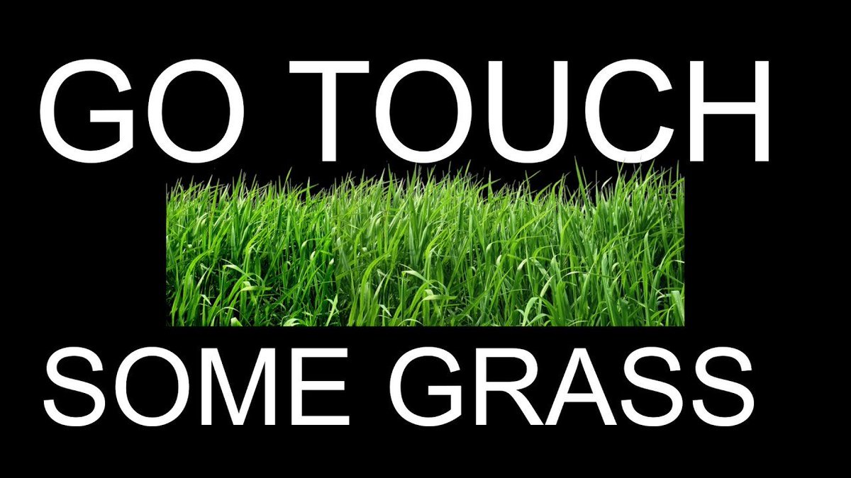 Go touch some grass. Touch grass. Трава в руке. Мем touch grass. Go touch some grass.