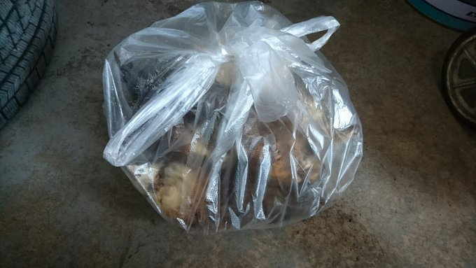 工場の親方にタケノコのお裾分け 