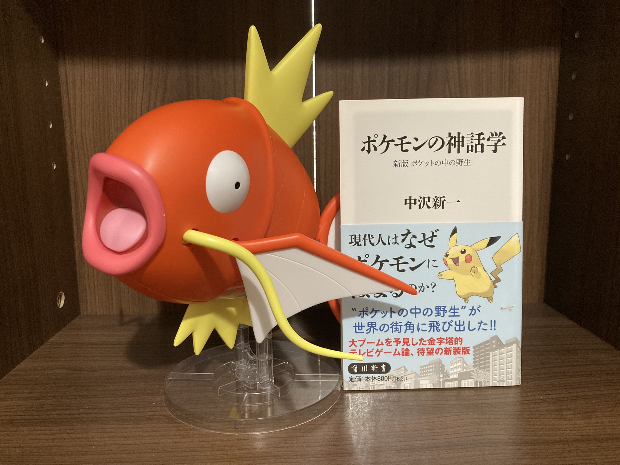 土直生日月 昨日 知り合いが社会進化論の話をして 社会はポケモンみたいに単線的に進化しない と言っていましたが イーブイをはじめとして さまざまな進化があるし そもそも進化を止めることだってできます 近いうちに反論しようと思います こどもの