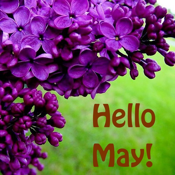 BurakOzcivitRu's tweet image. Добрый день! Поздравляю каждого с праздником весны и труда, с 01 мая! Желаю вам оптимизма, здоровья, энергии и новых свершений! Ваша Виктория (администратор страницы) 😘💖

#веcна #май #добропожаловать #spring #may #welcome #буракозчивит #buraközçivit #burakozcivit