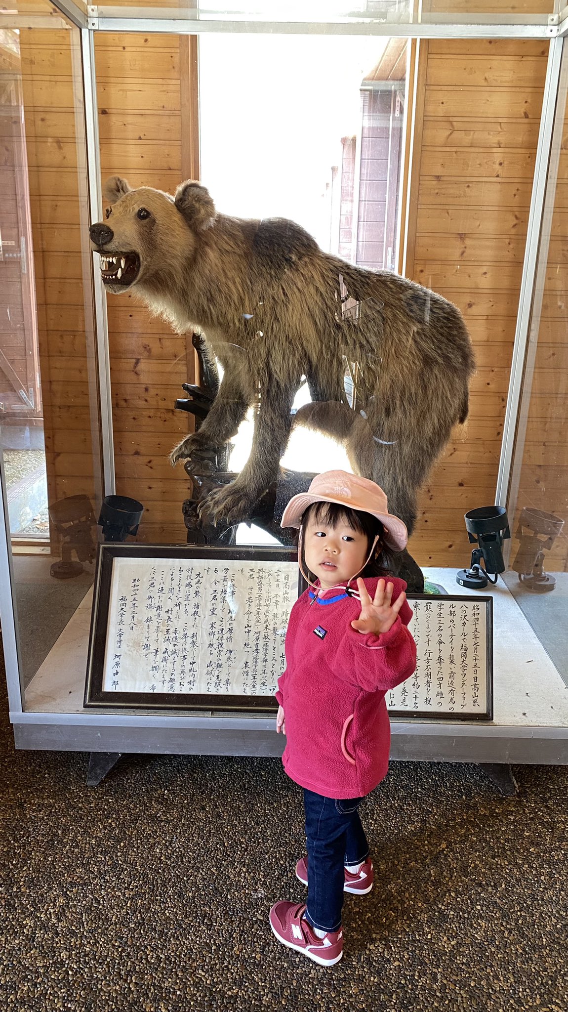 Kenchi Ono 小野健智 Auf Twitter あの福岡大ワンダーフォーゲル部ヒグマ襲撃事件のヒグマの剥製を見てきた こんなら小さい熊 だけども油断ならんし 熊スプレーだけでも常に携行してないと T Co V3iiktcb0t Twitter