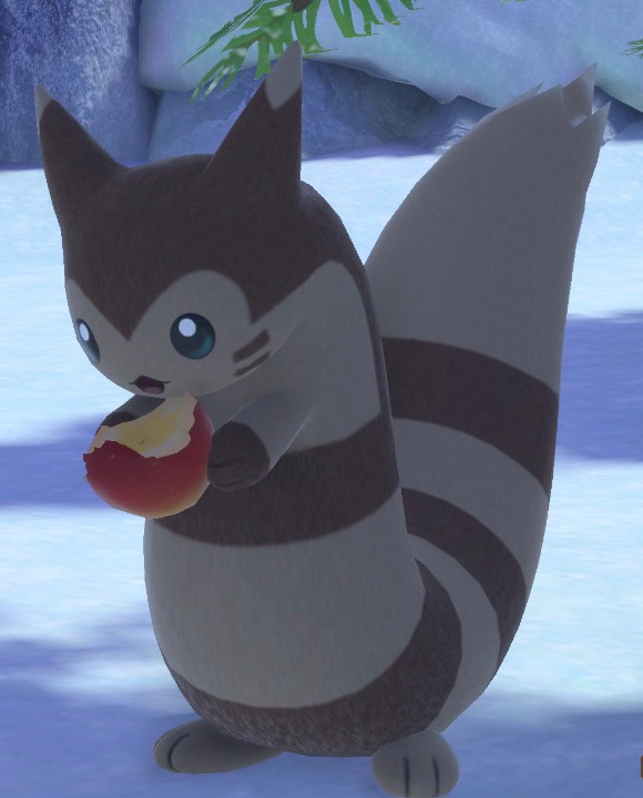 Poke Tachi Tachipoke Twitter Poke Tachi Tachipoke Twitter