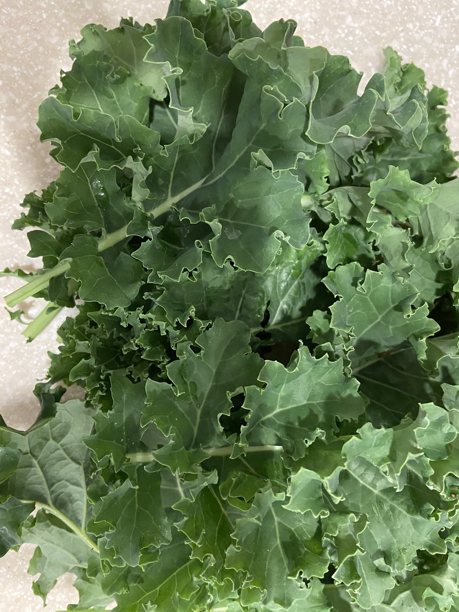 Hannah Smith tweet media