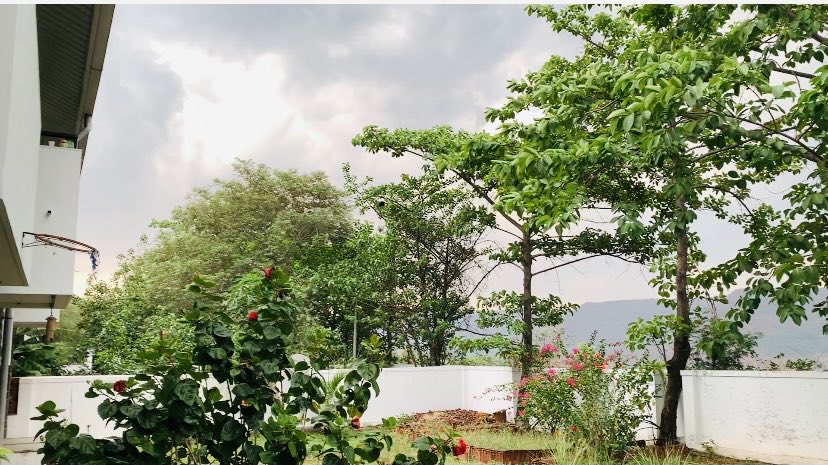 monicajgd's tweet photo. Every cloud ☁️ has a silver lining! Or a whole patch of silver! 😇 #supergrateful #lovenature #blissfulweather https://t.co/kFm8rQuWrk