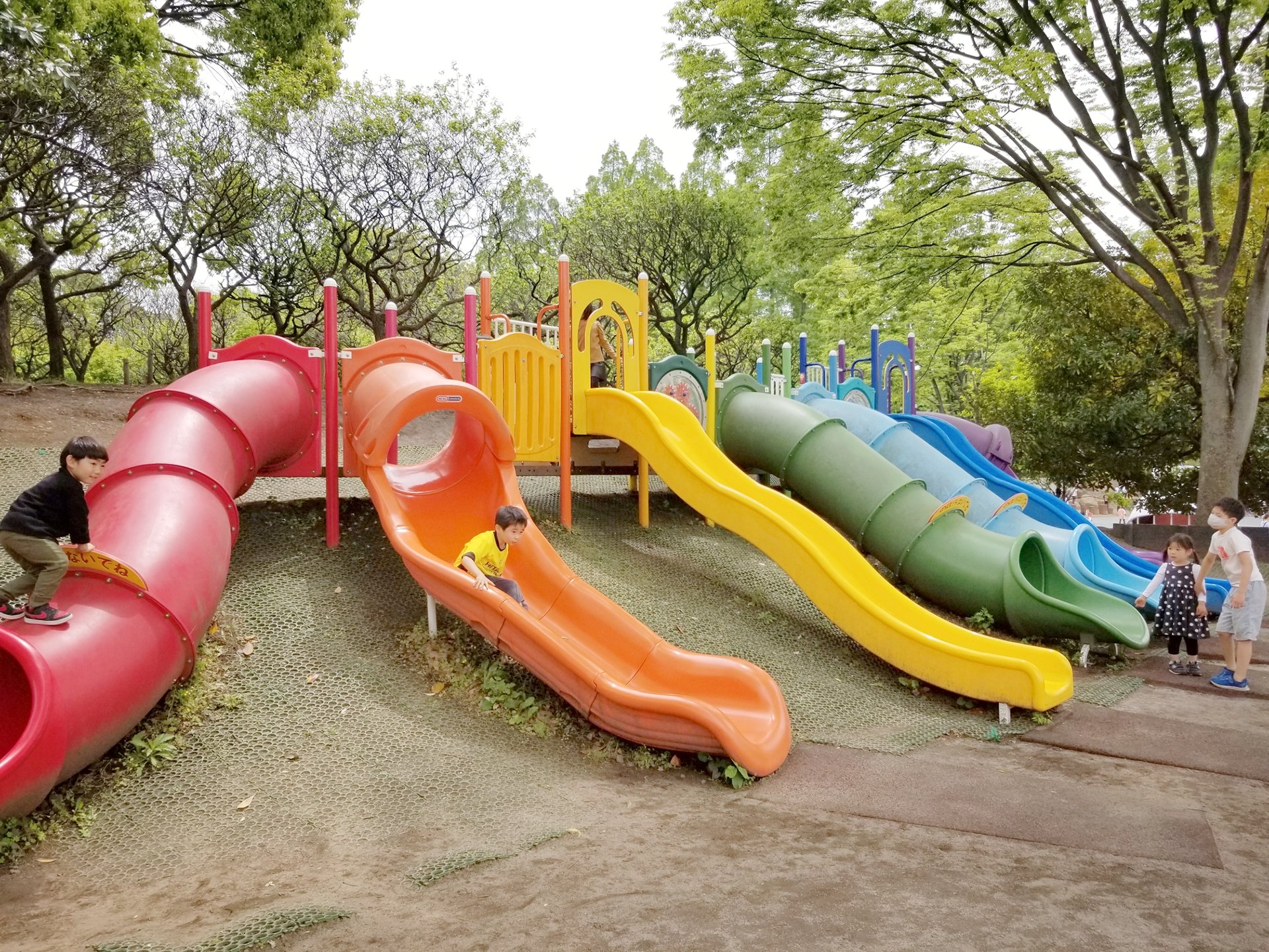 ₜₐₜᵤyₐ 子供のために しながわ水族館近くのしながわ区民公園に行ってきました ぽよんぽよん遊具とターザン遊具がやってませんでしたが 他の遊具だけでも充分楽しめました 公園横の駐車場も空いてたのでお薦めです 東京で大きな遊具がある公園