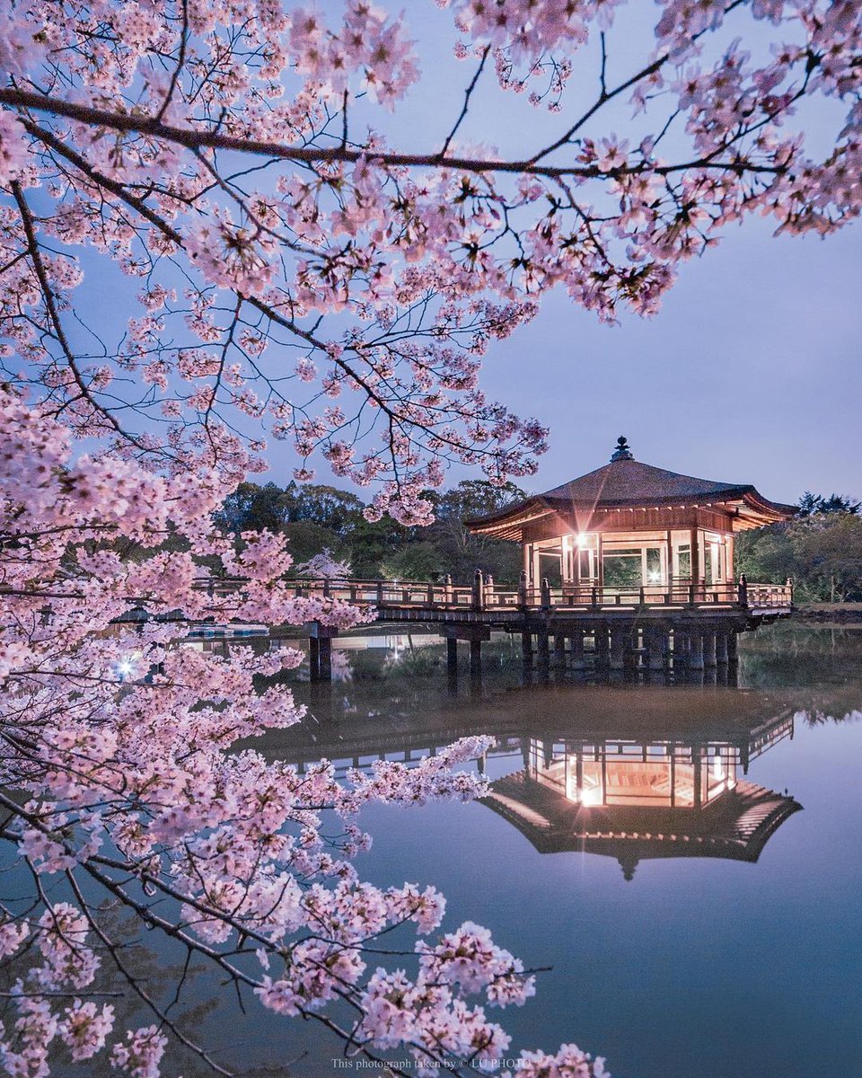 giannis2221963's tweet photo. Japan🇯🇵📷©Hyogo ΙΙΙ https://t.co/LqJwRBiJM1