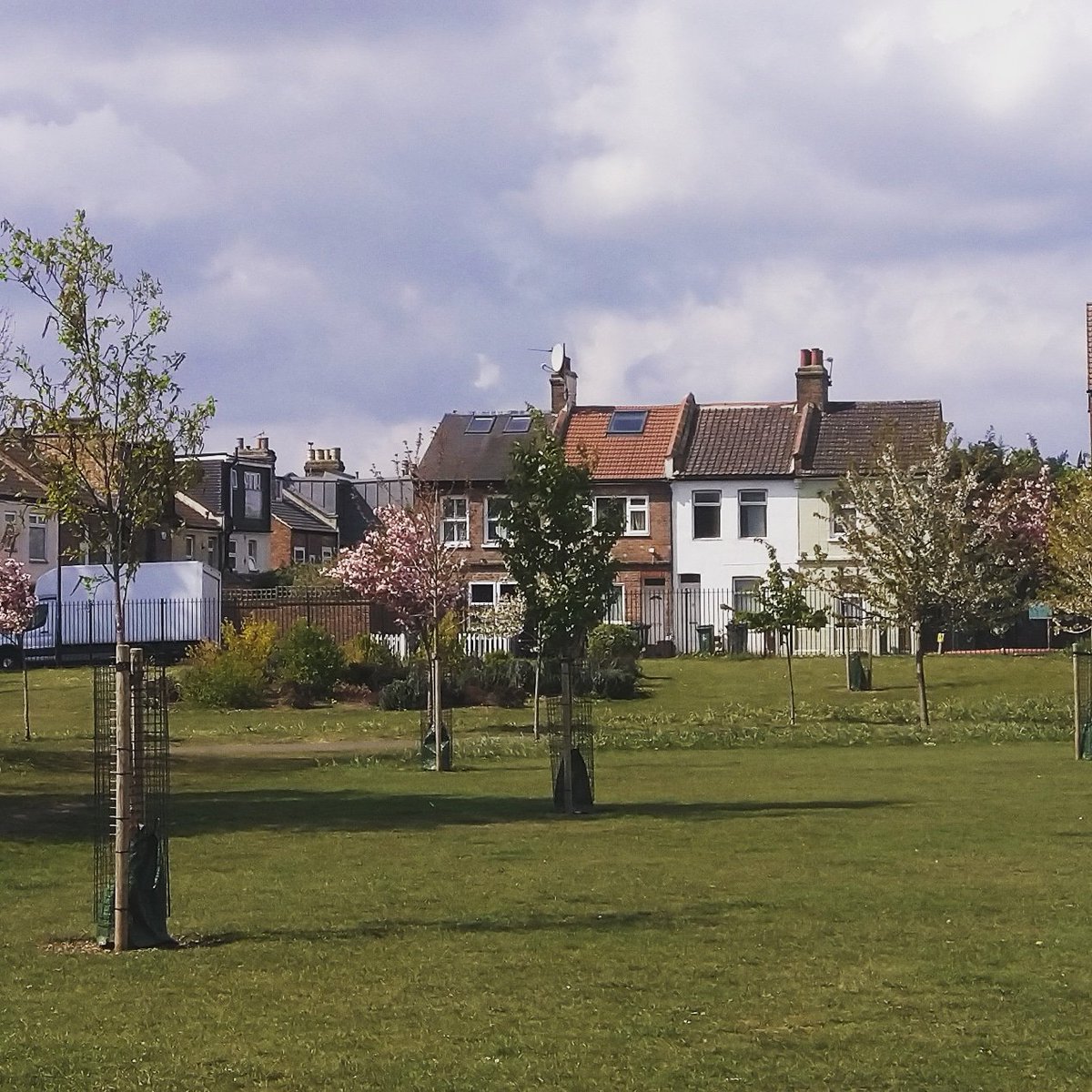50% of our trees have been adopted for watering by local households. If you can spare some time to water a tree once a week, join us tomorrow at 2pm to choose your favourite. Your tree needs you! <a href="/alistrathern/">Alistair Strathern MP</a> <a href="/highamhillhub/">Higham Hill Hub</a> @blackhorsemole
