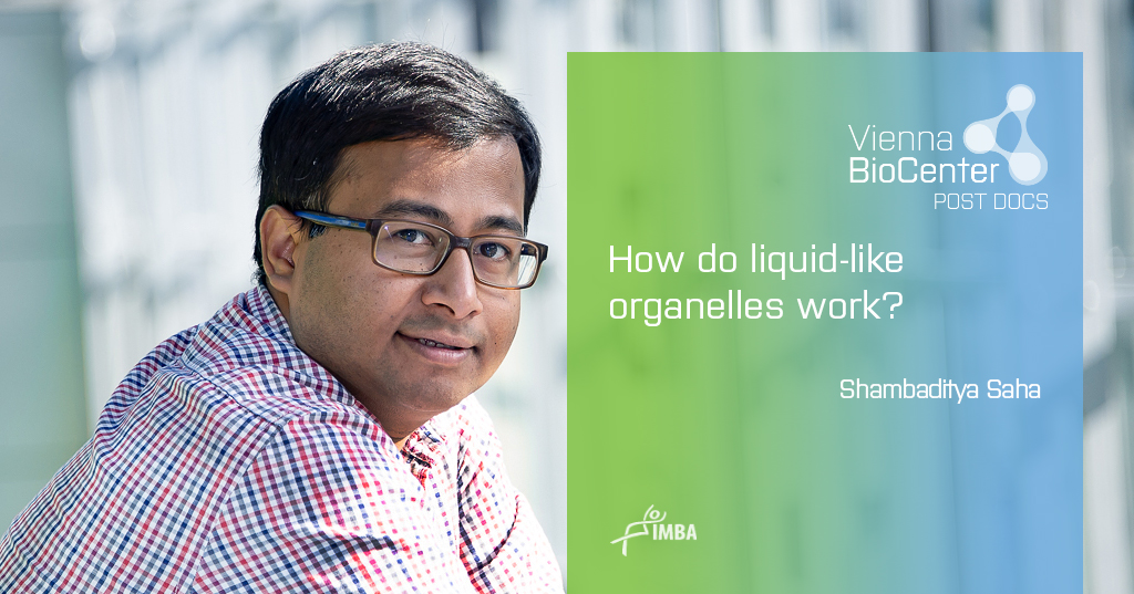 TrainingVbc's tweet image. Shamba Saha has an opening in his lab @SahaLab3 as part of our VIP2 postdoctoral fellowship program. Check out our website for further details: training.vbc.ac.at/post-docs/
@IMPvienna @IMBA_Vienna @gmivienna @MaxPerutzLabs   #PhaseSeparation #RNAprocessing #germline