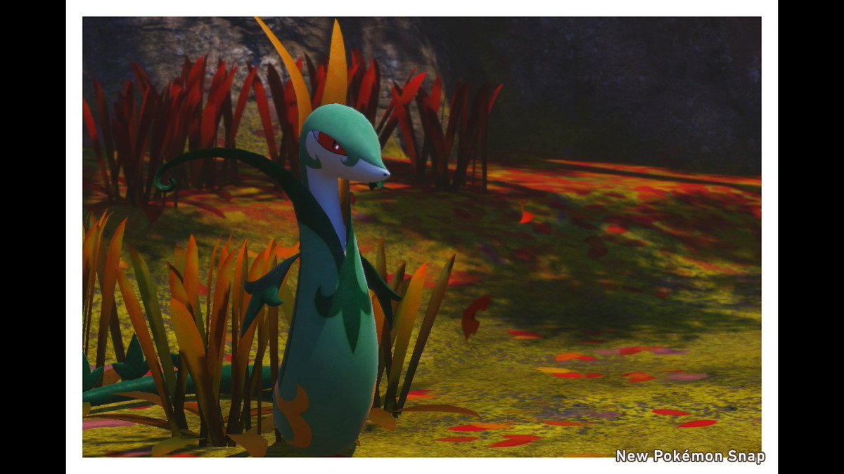 Some more for this thread. Still wish there were more editing and photography options during play.  #NewPokemonSnap    #PokemonSnap  