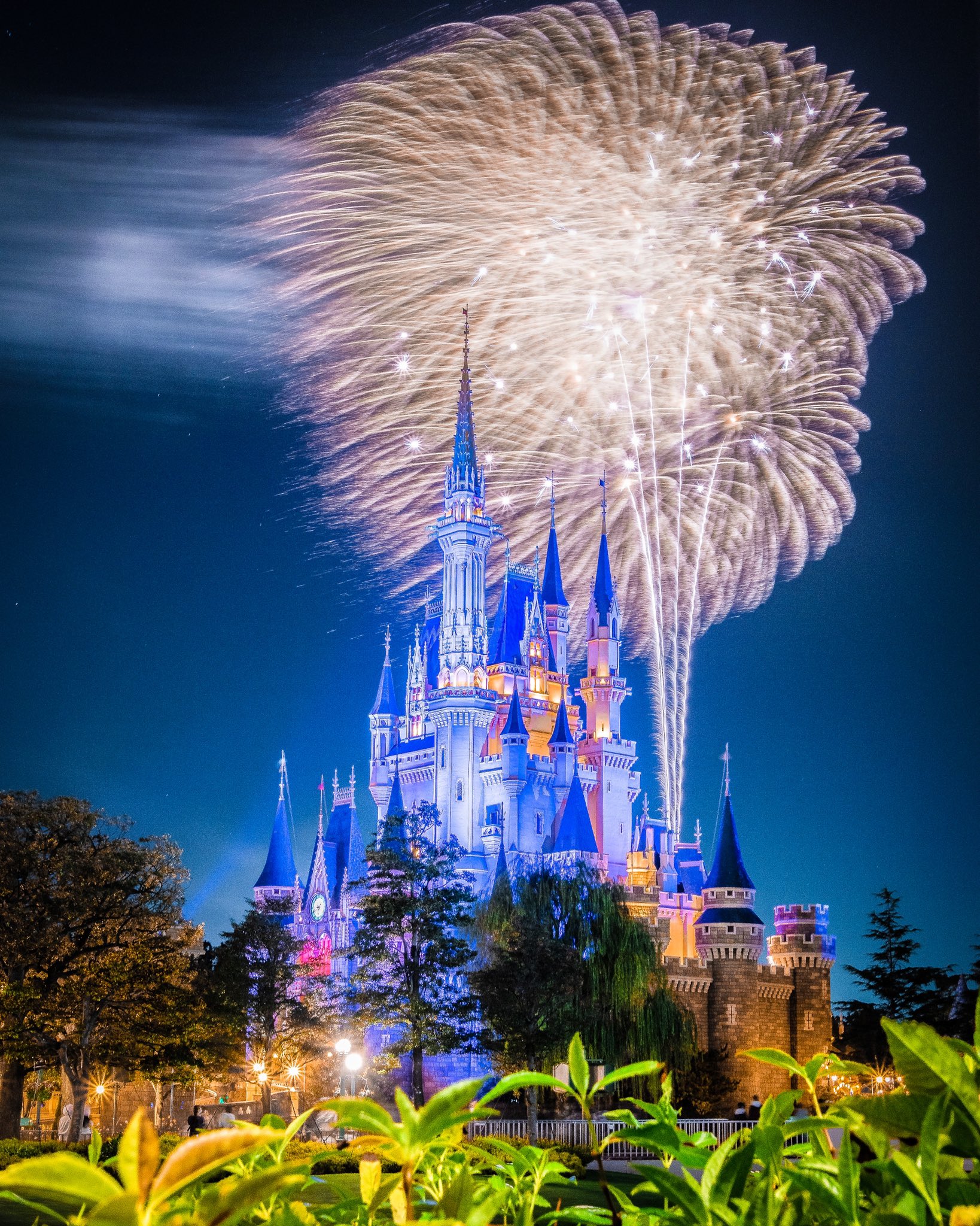 Tatsuya 私がディズニーで撮った 懇親の花火写真達を是非見て欲しい T Co Egka0hzy3d Twitter