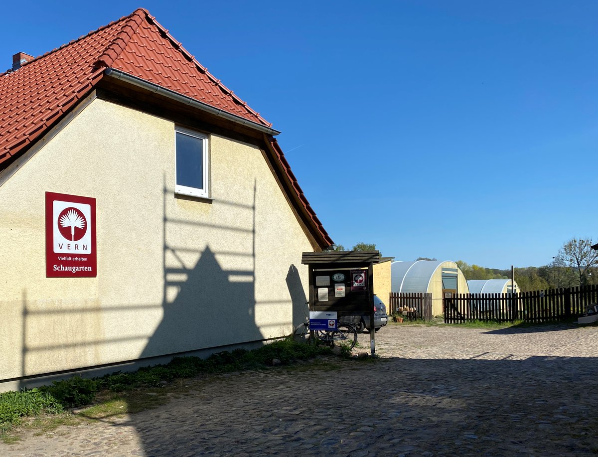 Uckermark_tmu's tweet photo. Bio – Jungpflanzenverkauf ab Hof in #Greiffenberg bei Vern e.V. heute von 10 bis 16 Uhr. Jungpflanzen auswählen aus über 130 verschiedenen Tomatensorten oder Chili, Paprika, Gurken, Zucchini, Kürbisse und Melonen. https://t.co/V84RwkpI4l https://t.co/EHTUtx1g8t