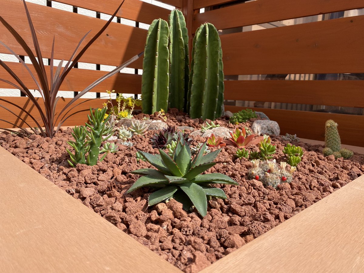 ミニドライガーデン 【公式通販】