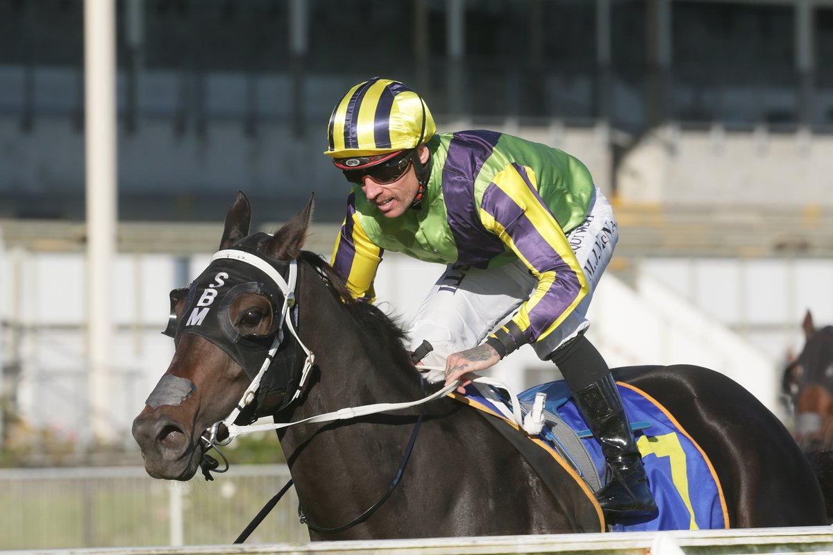 #Pierina was stunning when scoring an emphatic victory in the Gr.2 Travis Stakes (2000m) at Te Rapa. <a href="/marshracing/">Stephen Marsh</a> <a href="/WaikatoStud/">Waikato Stud</a> <a href="/Bpbloodstock/">Bruce Perry</a> <a href="/KarakaChat/">New Zealand Bloodstock</a>

racingnews.co.nz/pierina-devast…
