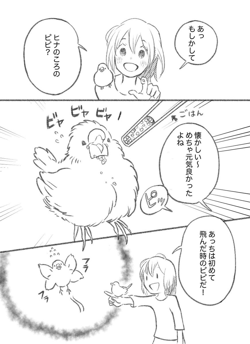 漫画「ピピ」

(2枚目に続く) 