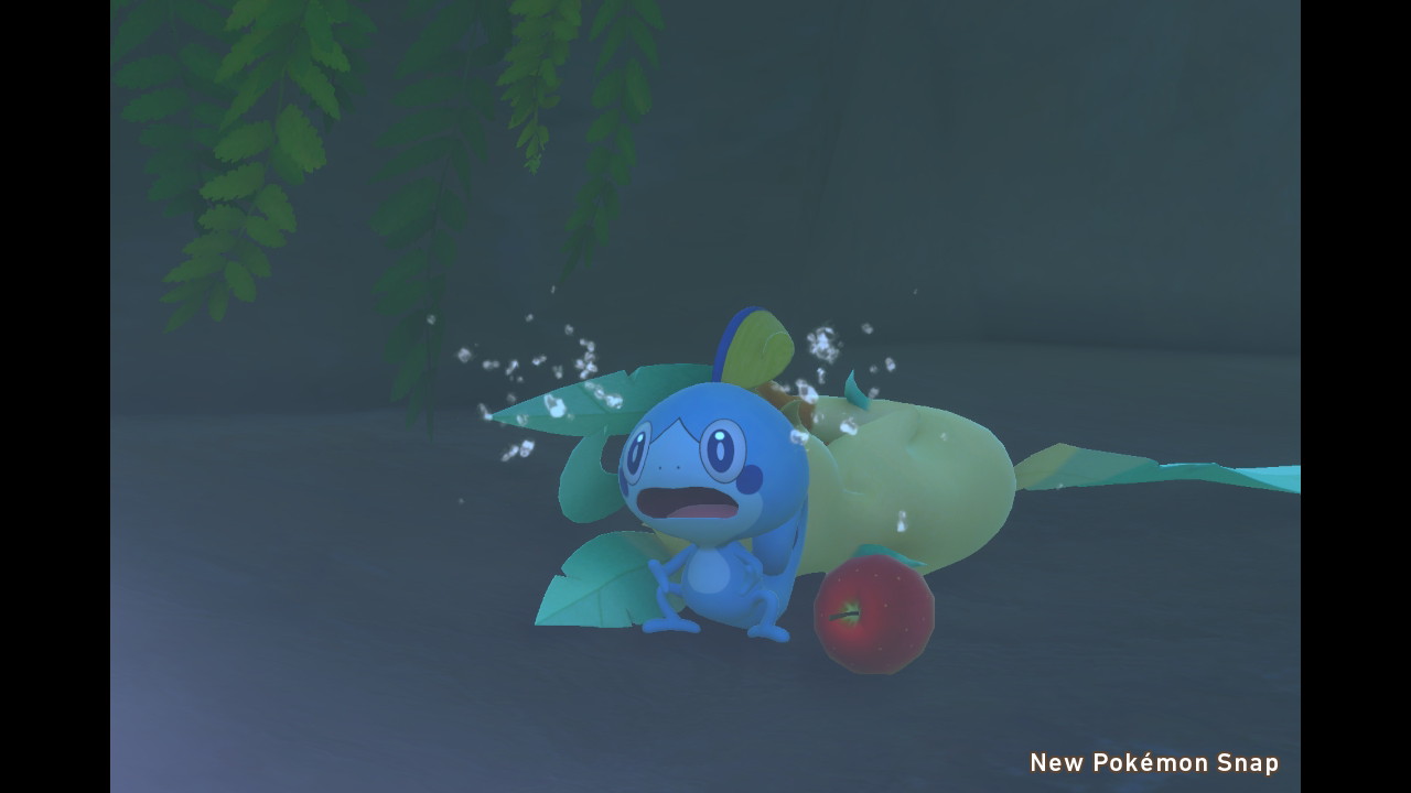 Jokionasibljcgn 50 リーフィア ポケモンスナップ リーフィア ポケモンスナップ