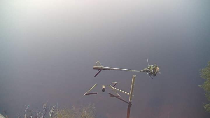 1/2 Brenig Osprey Project partners woke up this morning to the worst possible news. Last night, at 21.42, someone took a chainsaw to the osprey nest and felled it – please, please be kind to staff this weekend as we work out how to respond to this horrific act of vandalism.