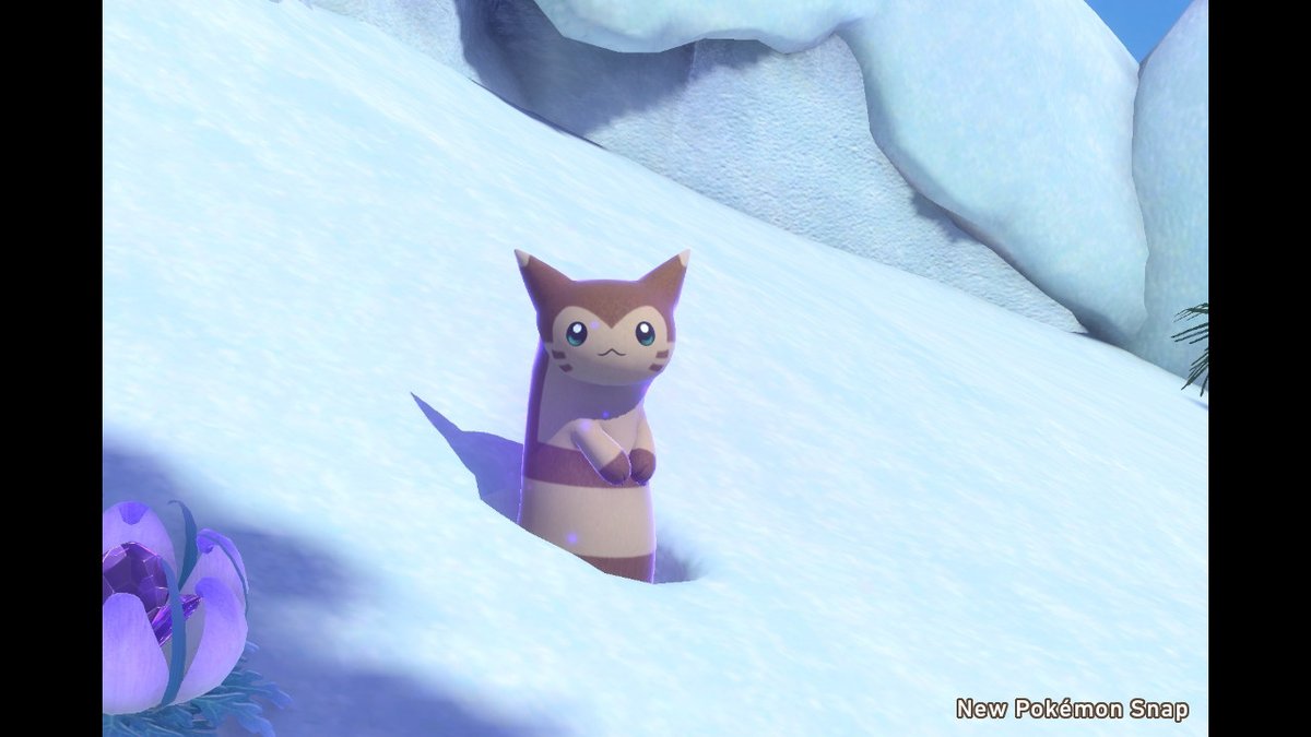 もるもっふ オオタチかわいすぎてどうにかなりそう Newポケモンスナップ Newpokemonsnap Nintendoswitch もるもっふ オオタチかわいすぎてどうにかなりそう Newポケモンスナップ Newpokemonsnap Nintendoswitch