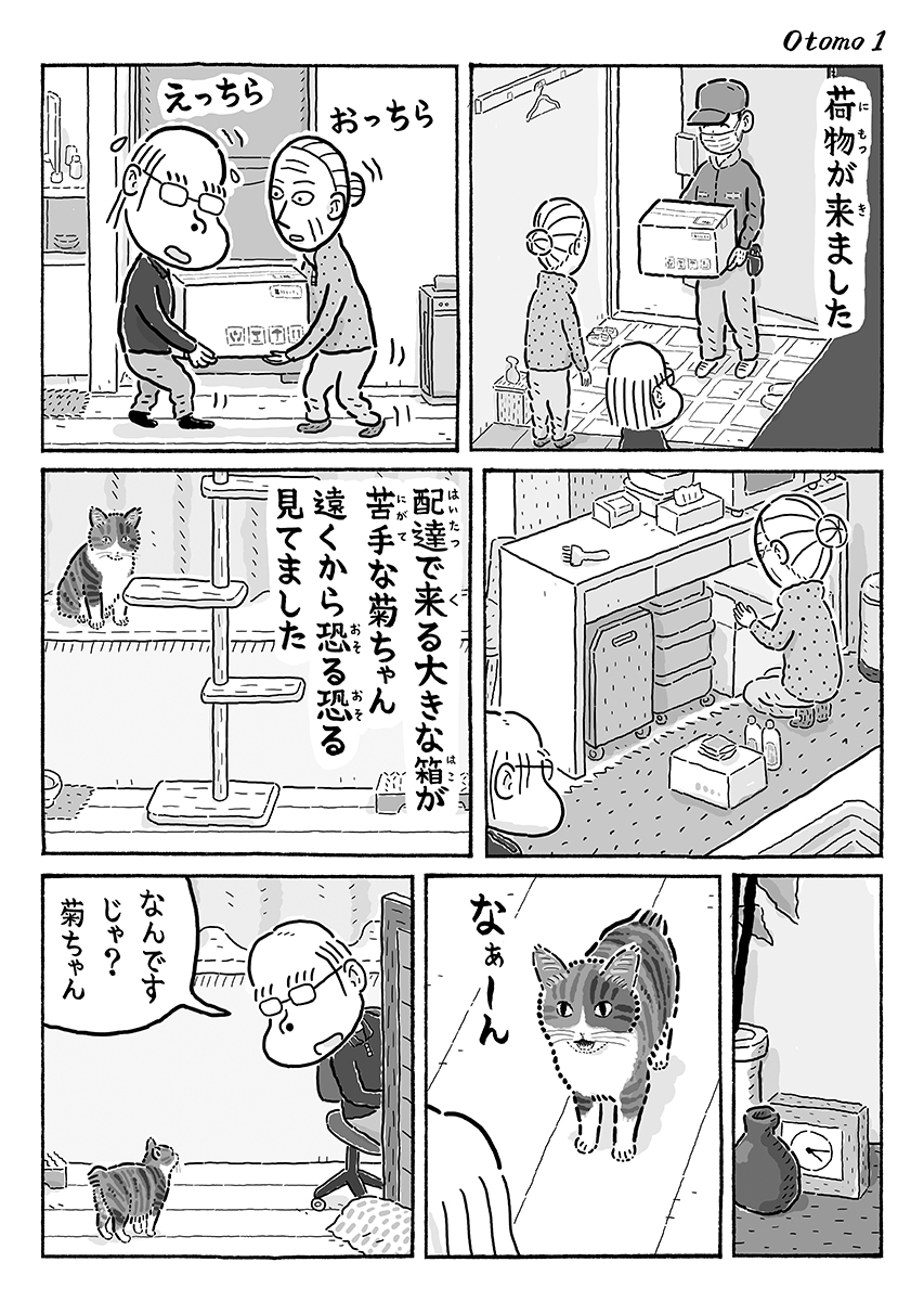 2ページ猫漫画「お供につれて」 #猫の菊ちゃん 